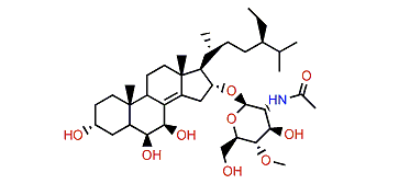 Anthenoside A